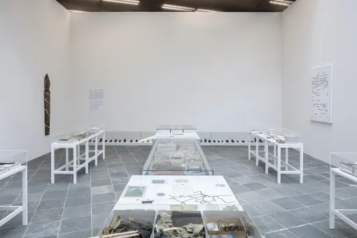 Debris Field 2010-19