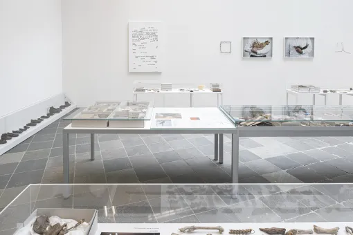 Debris Field 2010-19