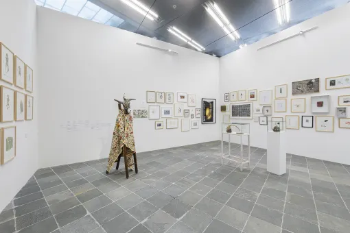 Lois Weinberger. Basics