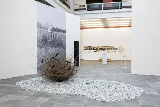 Lois Weinberger. Basics