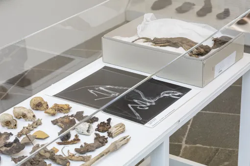 Debris Field 2010-19