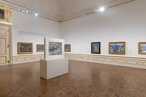 ein barocker Ausstellungsraum mit Bildern an der Wand