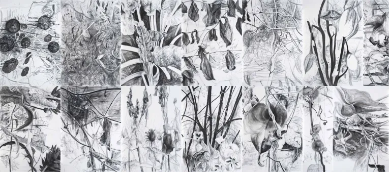 14-teilige schwarz-weiß Kreidezeichnung von Pflanzen