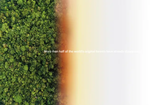 digital print on dibond behind museums glass