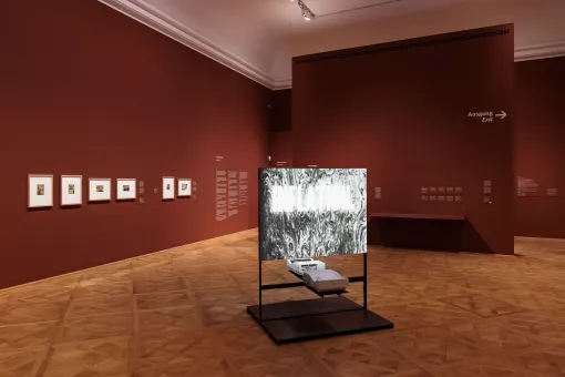 Ausstellungsansicht "Hannah Höch. Montierte Welten"