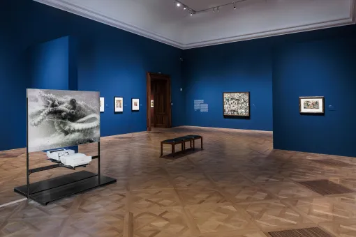 Ausstellungsansicht "Hannah Höch. Montierte Welten"