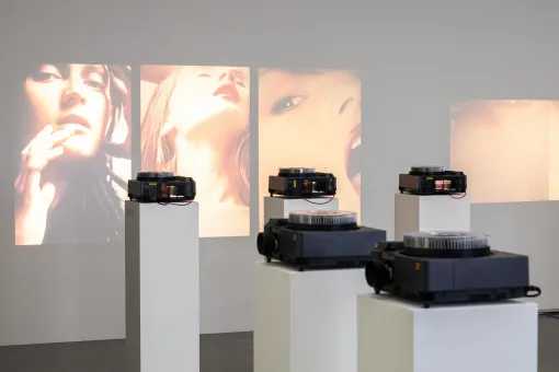 Ausstellungsansicht "Maria Hahnenkamp", Belvedere 21