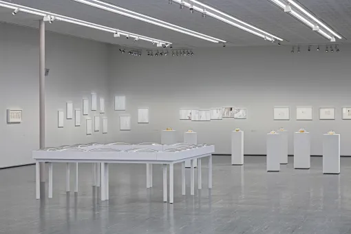 Ausstellungsansicht "Maria Hahnenkamp", Belvedere 21