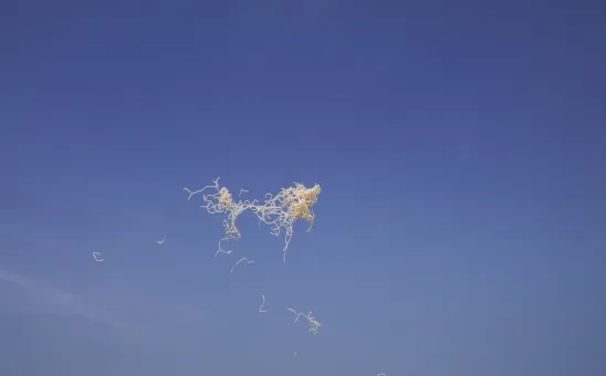 Asta Gröting, Things, 2018, Videostill, 4K UHD-Video mit Ton, 6:32 min