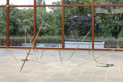 Katrina Daschner, Amazon Needles, 2024