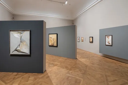 Ausstellungsansicht "Erika Giovanna Klien. Alles ist Bewegung", Unteres Belvedere