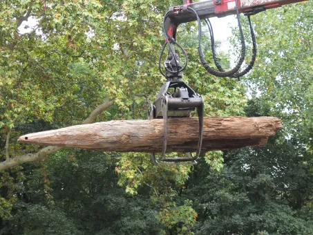 Unloading stakes in front of the studio, Vienna, summer 2013