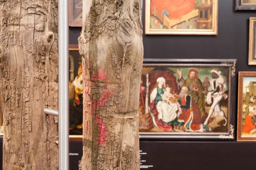 Christian Mayer - Musis et Mulis