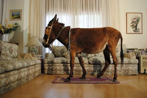 Hicham Benohoud  Untitled (From Anes Situ series), 2012-2013  10 photographs  80 x 120 cm each (/ to be confirmed by WHW)  Courtesy the artist and CulturesInterface