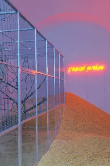 Gelbbrustaras, Mais, Glashaus, Holz, Neon  150,3 x 54,3 x 22,4 cm