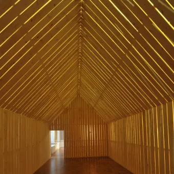 Konstruktion aus Fichtenholz, Neonröhren  800 x 400 x 300 cm