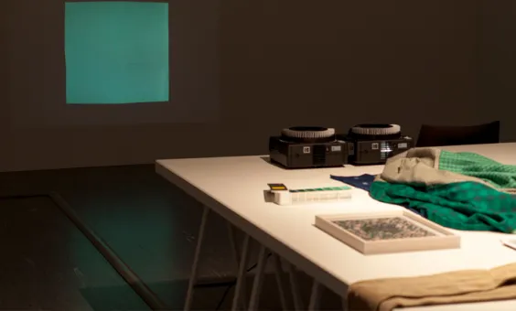 21er Raum: Constanze Schweiger