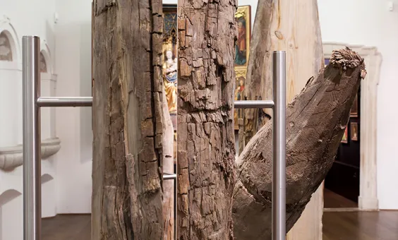 Christian Mayer - Musis et Mulis