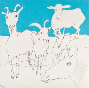 Oil on canvas  80 × 80 cm