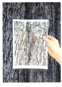 Young Art Auction Exhibition