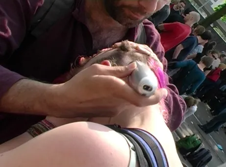 Video (Farbe, Ton), 14 min    