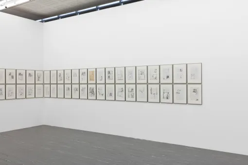 Dominik Steiger / Günter Brus