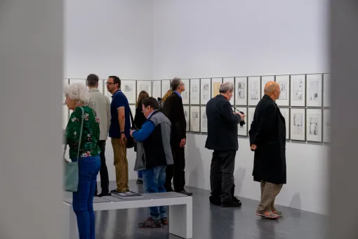 Dominik Steiger / Günter Brus