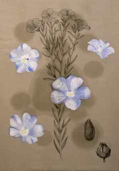 Tempera, Leinöl auf Leinwand, 200 x 140 cm