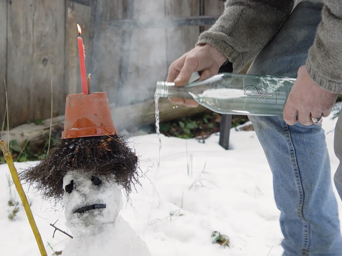 Lois Weinberger, Home Voodoo I, 2004