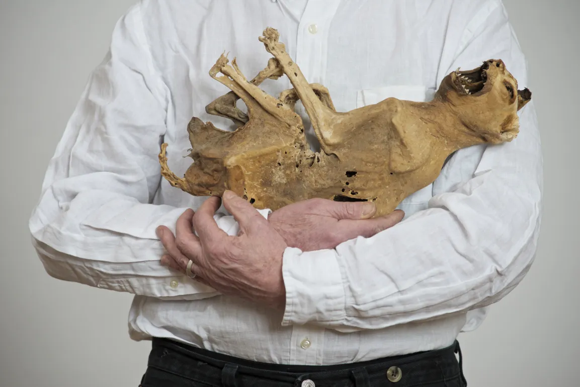 Lois Weinberger, Ohne Titel, 2014