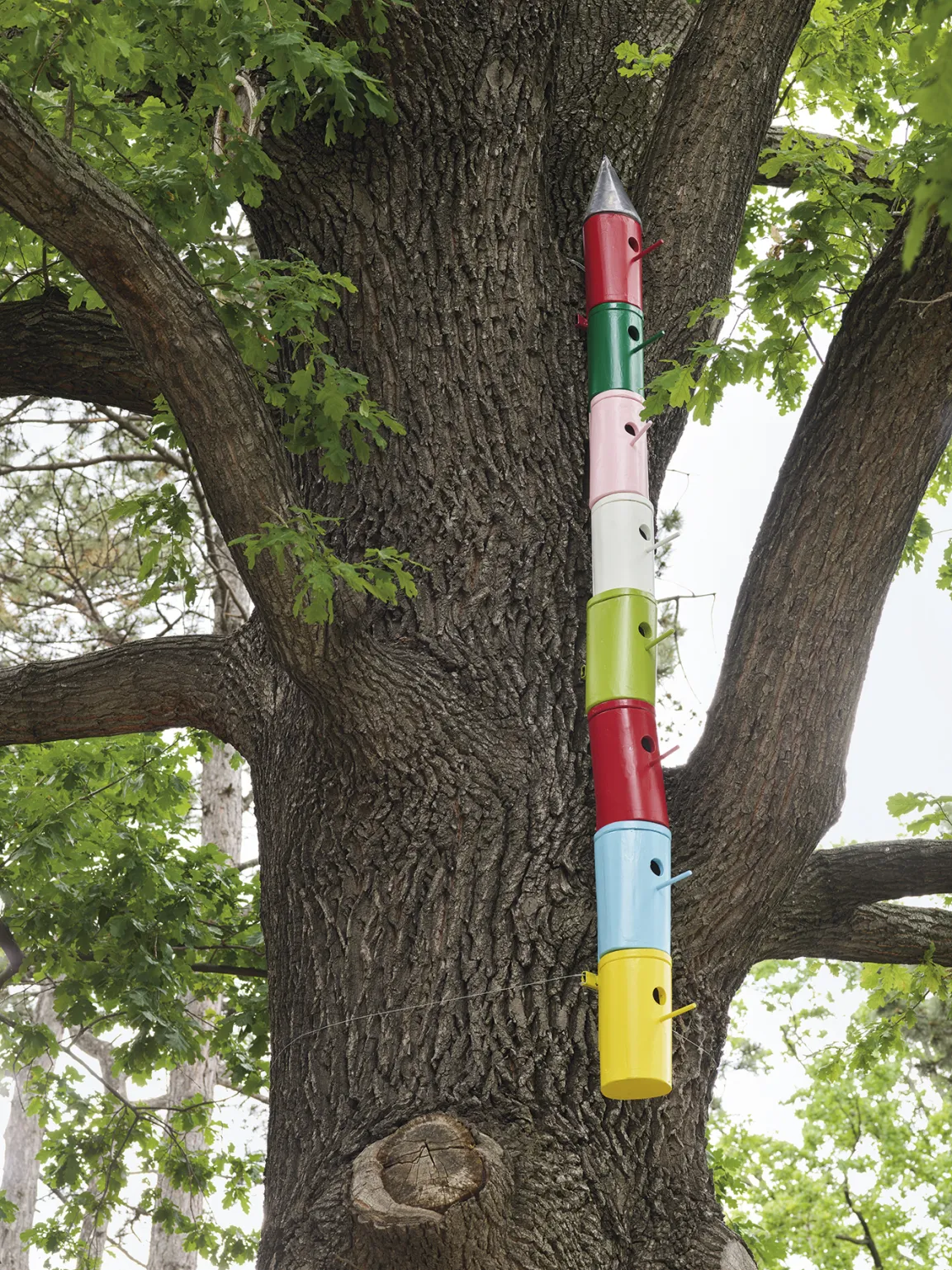 Lois Weinberger, Hochhaus für Vögel, 1976 