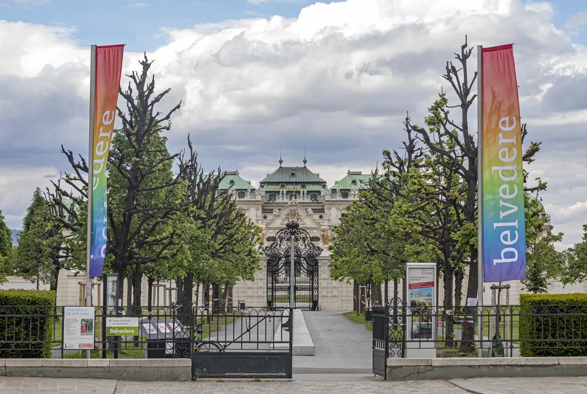 Queering the Belvedere OB