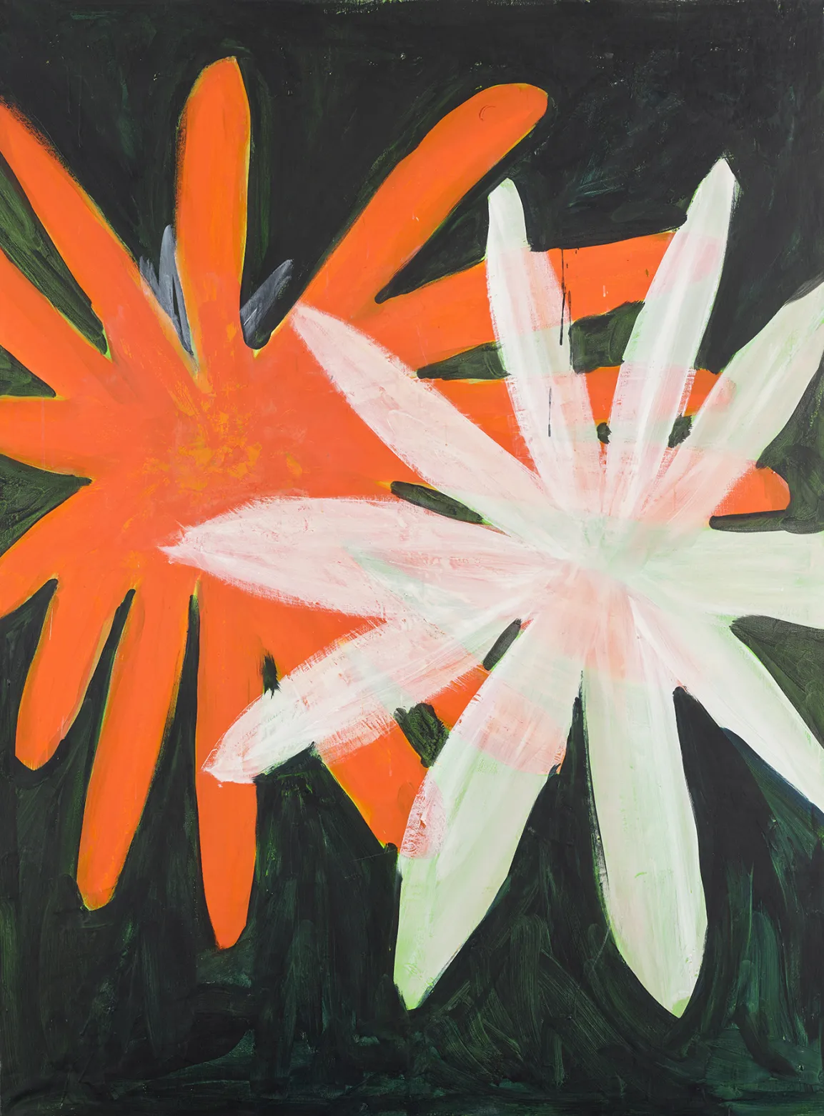 Auf einem schwarzen Hintergrund sind zwei Blumen in orange und weiß