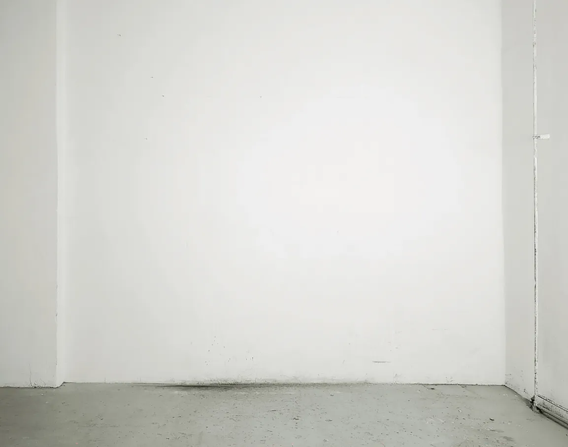 Maria Hahnenkamp, Räume/Wände, 2001/2024
