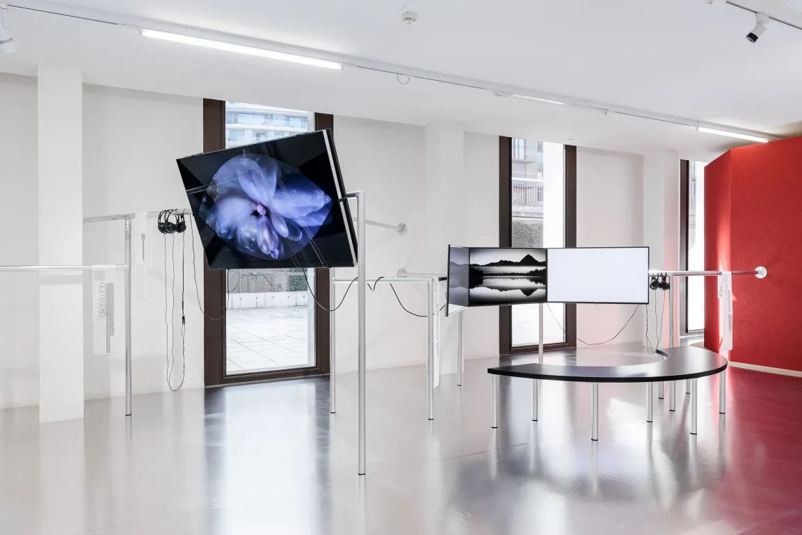 Ausstellungsansicht Civa. coded manoeuvres_sticky webs 