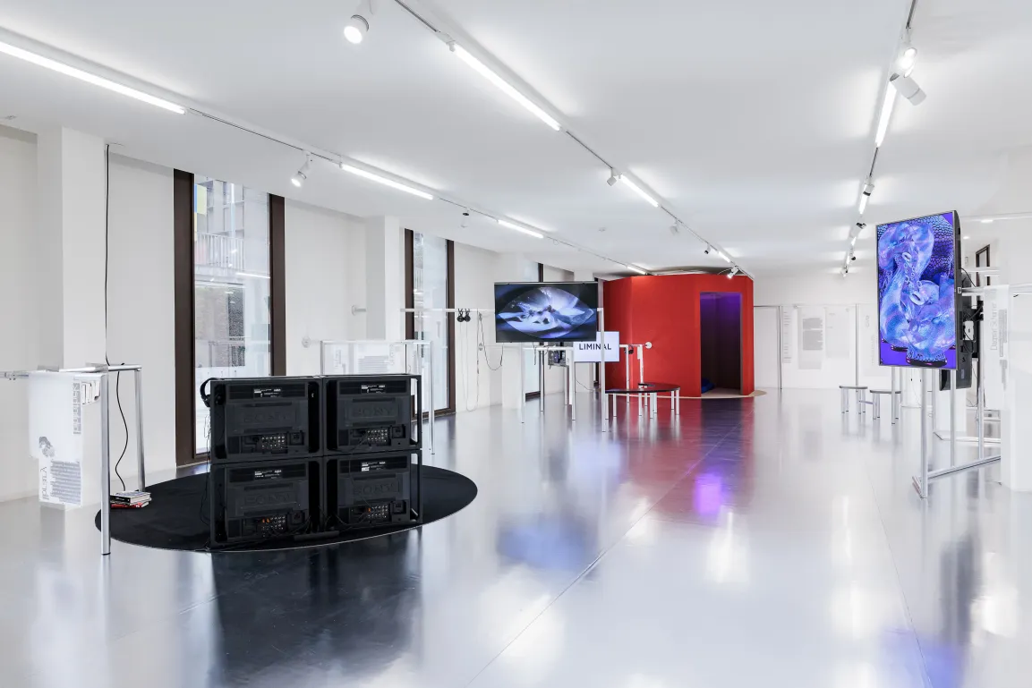 Ausstellungsansicht Civa. coded manoeuvres_sticky webs 