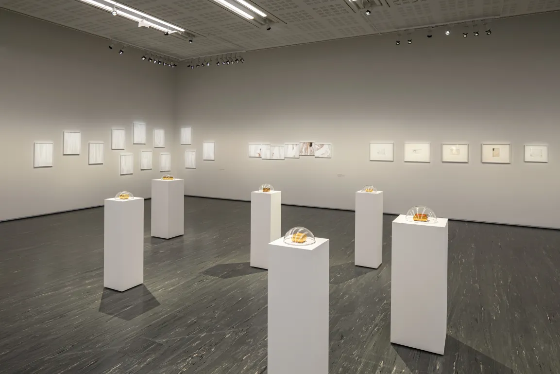 Ausstellungsansicht "Maria Hahnenkamp", Belvedere 21