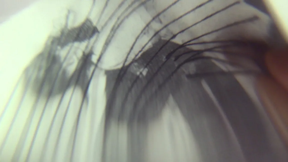 Pille-Riin Jaik, Tangled (still), 2017 (c) sixpackfilm