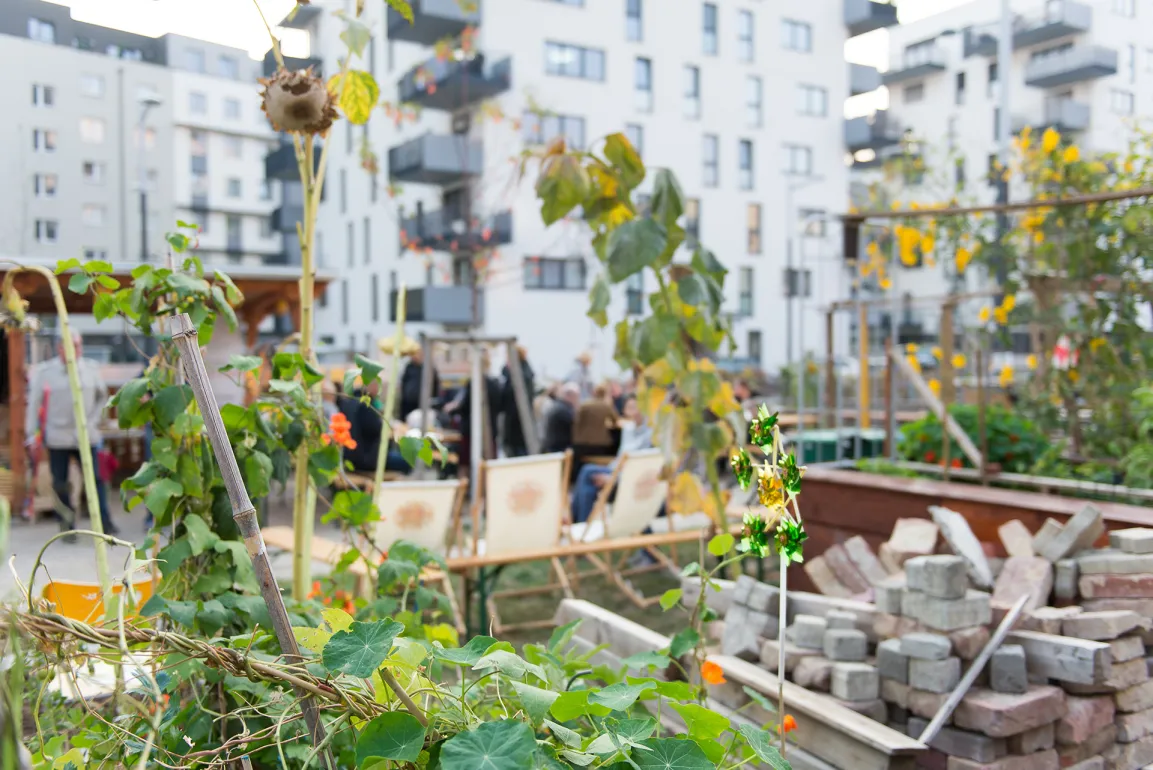 Pflanzen vor einem Wohngebäude