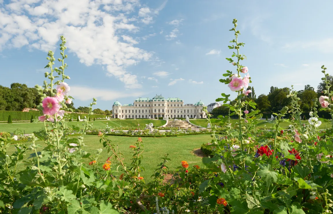 Schlossansicht Oberes Belvedere mit grüner wiese und blühenden Blumen im Vordergrund