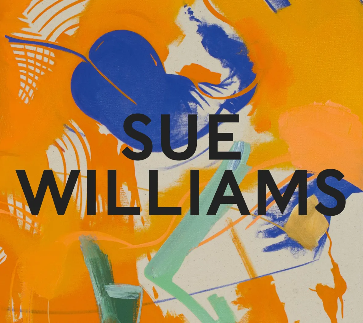 Catalogue Sue Williams