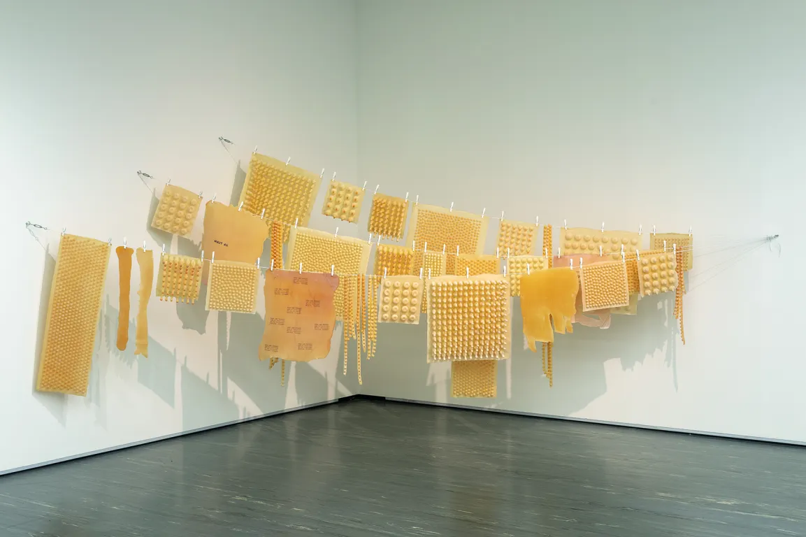 Renate Bertlmann, Waschtag (Belvedere 21), 1976/2023
