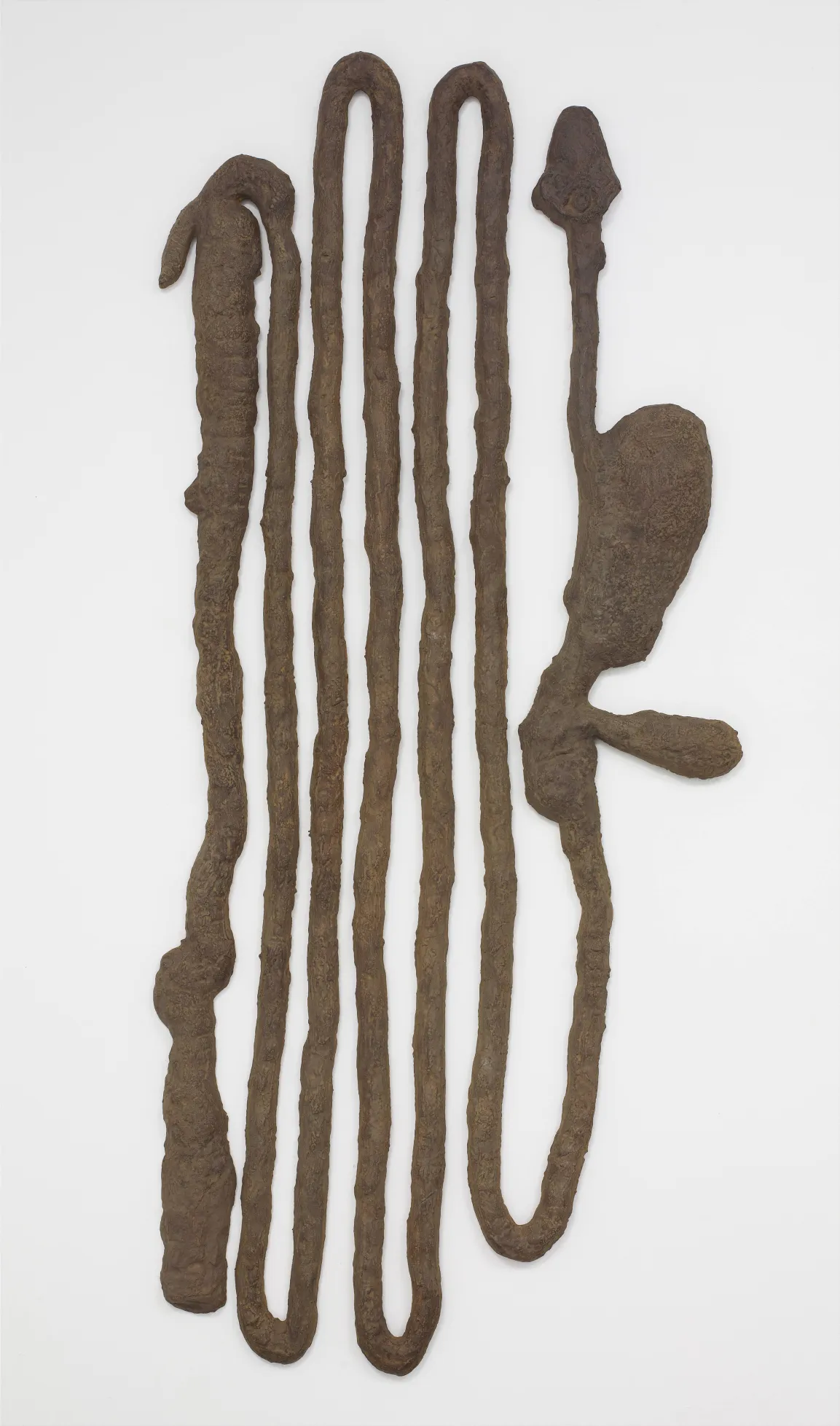 Kiki Smith
  Digestive System
  1988
  Dehnbares Eisen
  157,5 x 66 x 12,7 cm
