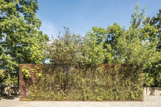 Pflanzenkäfig von Lois Weinberger