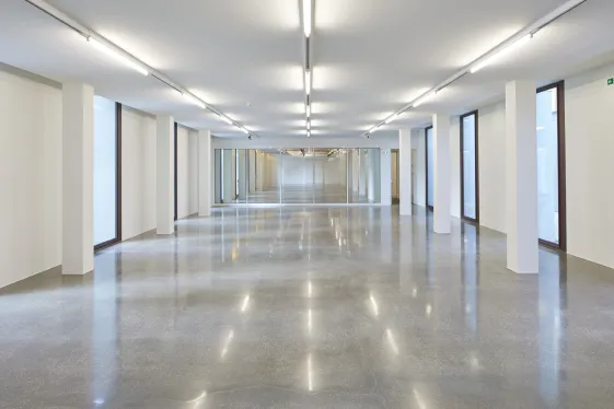 Belvedere 21&nbsp;Lower Floor