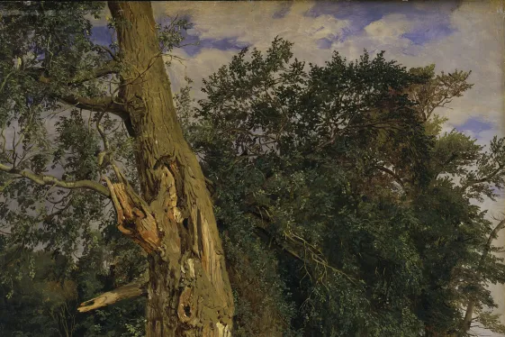 Ferdinand Georg Waldmüller, Alte Ulmen im Prater, 1831