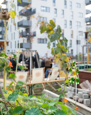 Pflanzen vor einem Wohngebäude