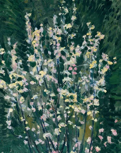 Blühendes Bäumchen in Weiß und Rosa auf grünem Hintergrund.