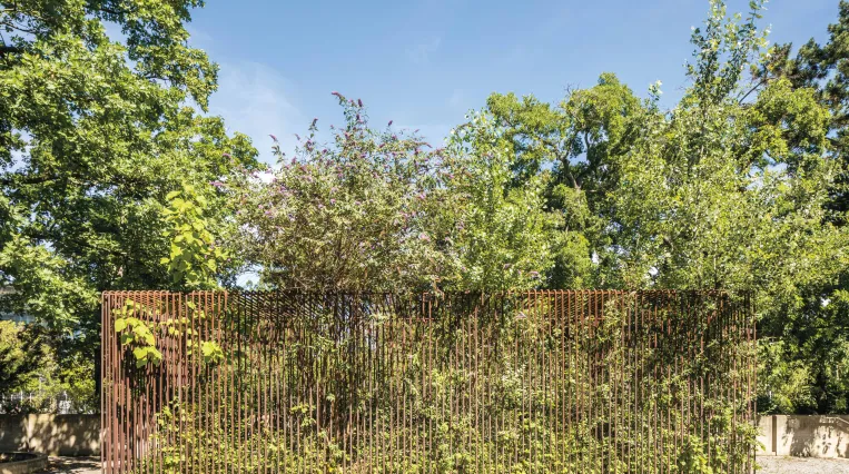 Pflanzenkäfig von Lois Weinberger