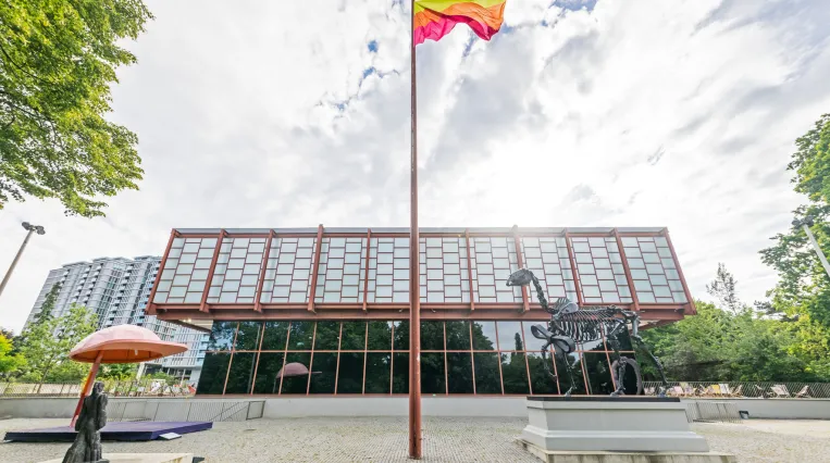 Bunte Flagge hinter dem Belvedere 21